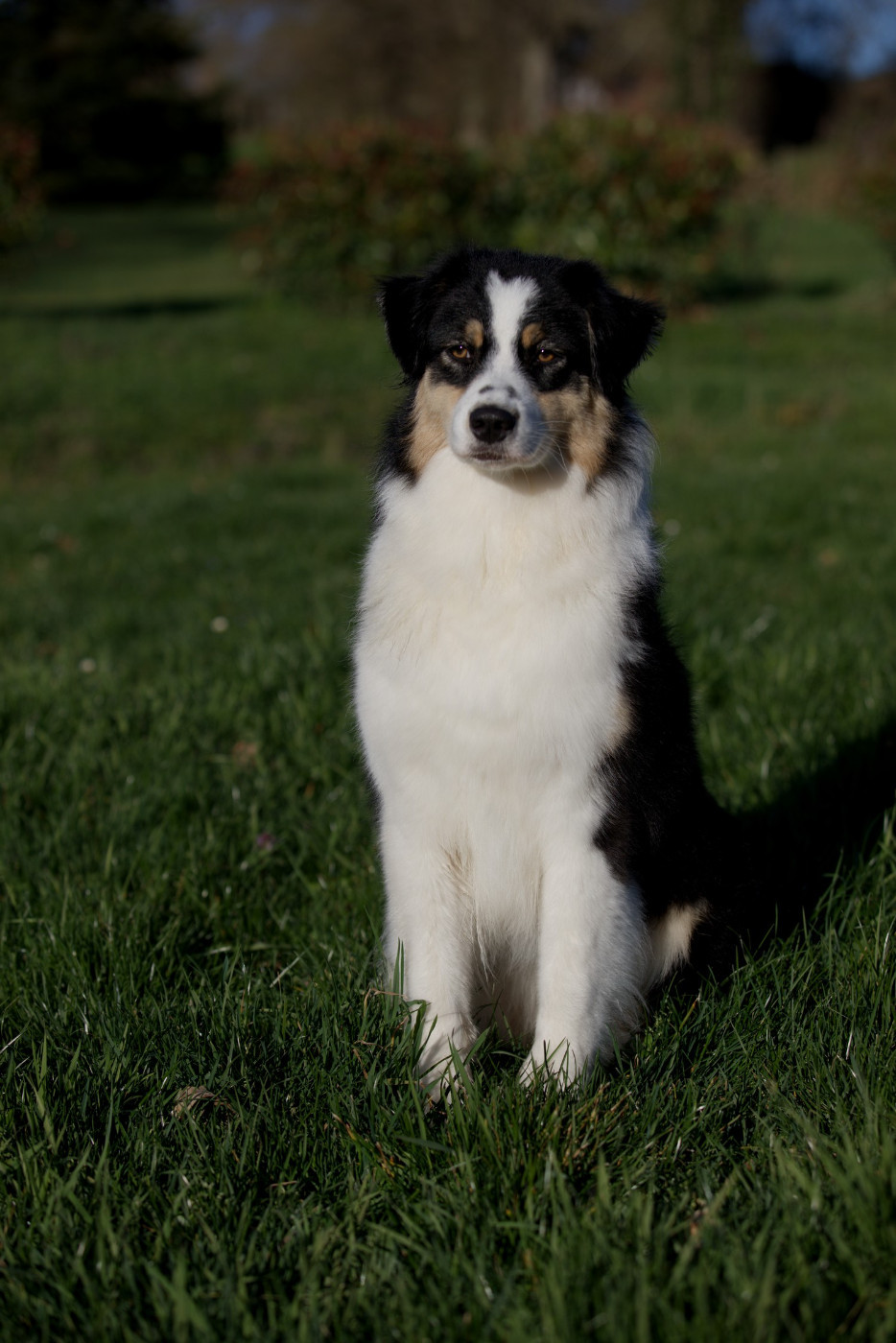 Virginia emporia Of Low Highland